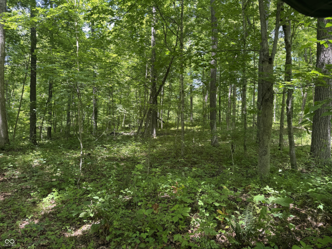 Listing Image 31