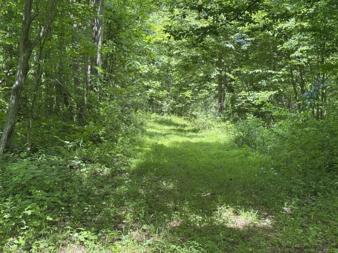 Listing Image 32