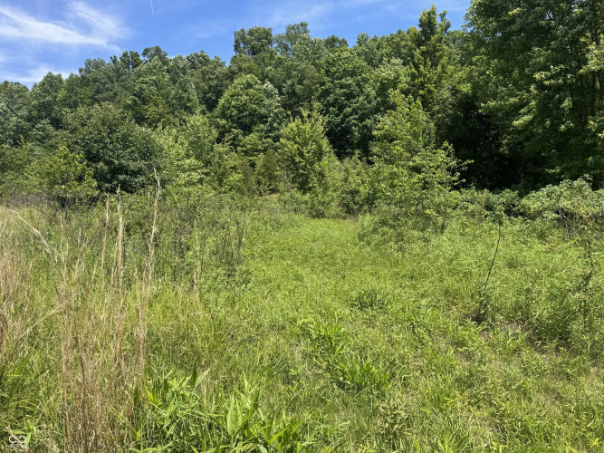 Listing Image 34