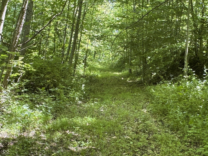 Listing Image 35