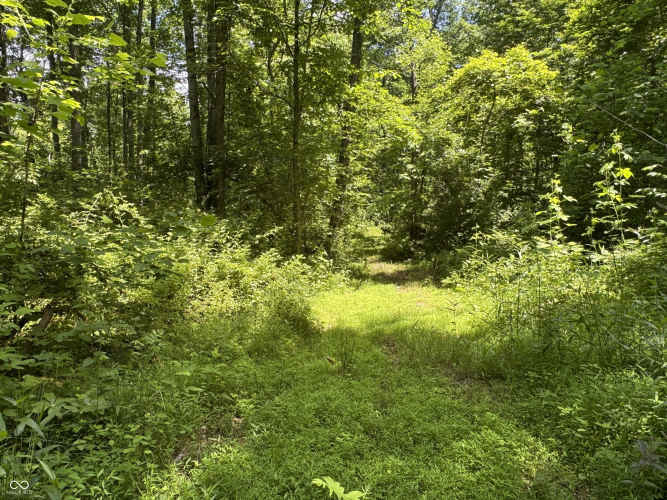 Listing Image 36