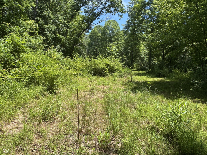 Listing Image 37