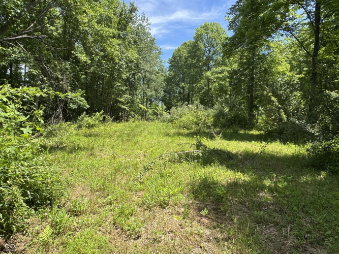 Listing Image 38