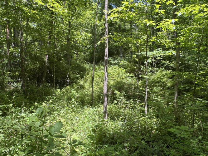 Listing Image 40