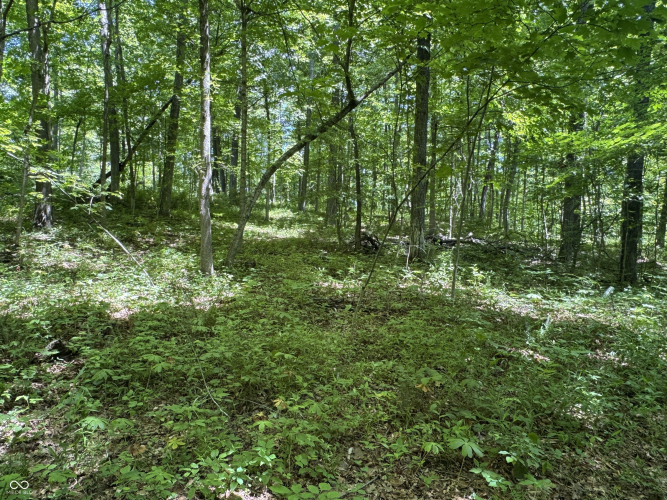Listing Image 41