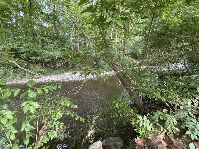 Listing Image 45