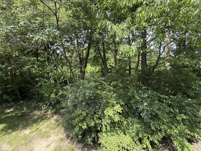 Listing Image 24