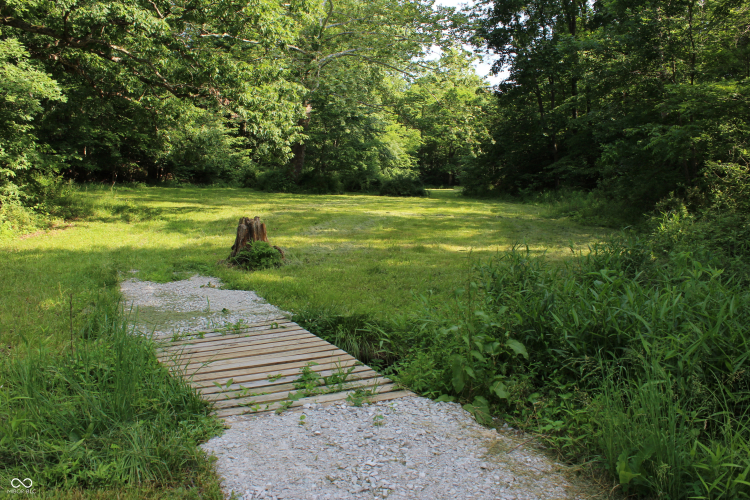 Listing Image 43