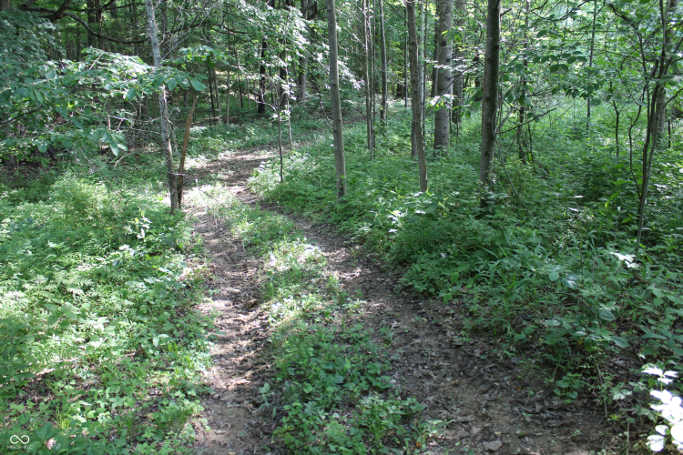 Listing Image 45