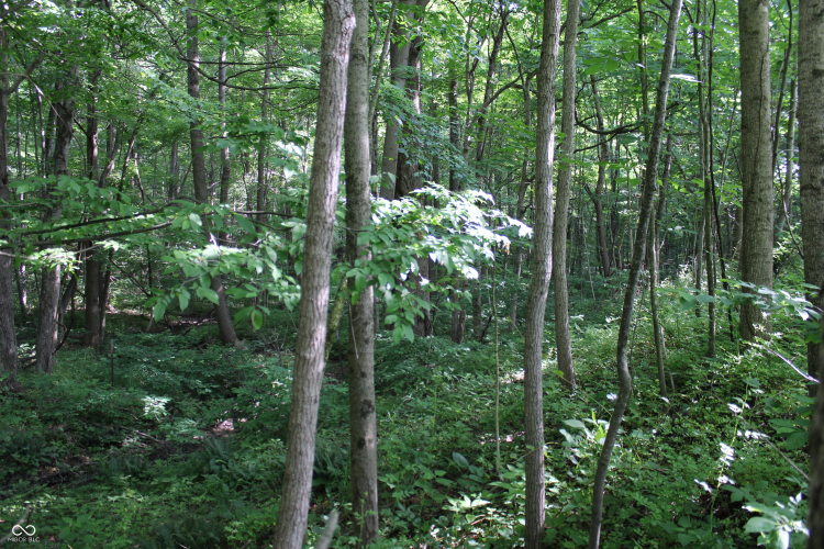 Listing Image 47