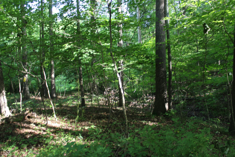 Listing Image 48