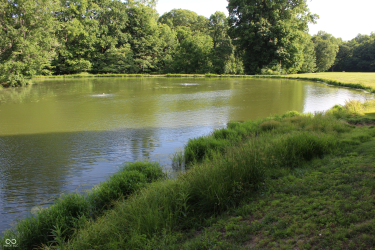 Listing Image 49