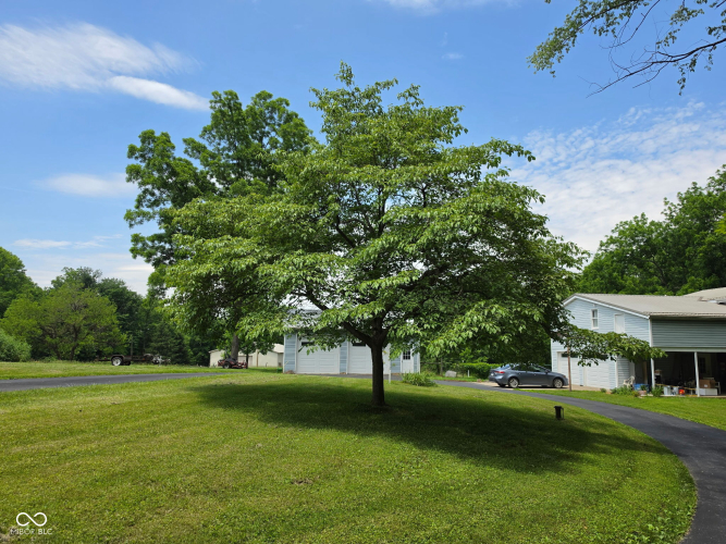 Listing Image 10