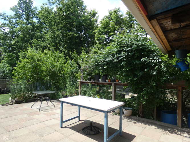 Listing Image 19
