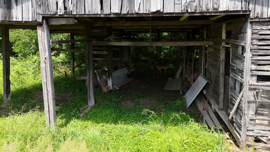 Listing Image 25