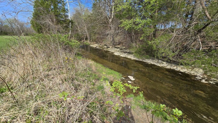 Listing Image 26