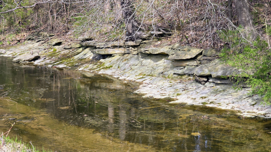 Listing Image 28