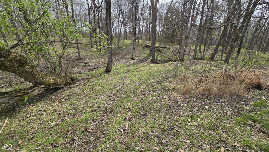 Listing Image 43