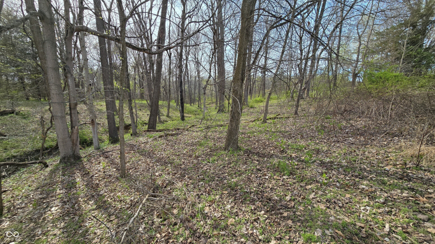 Listing Image 44