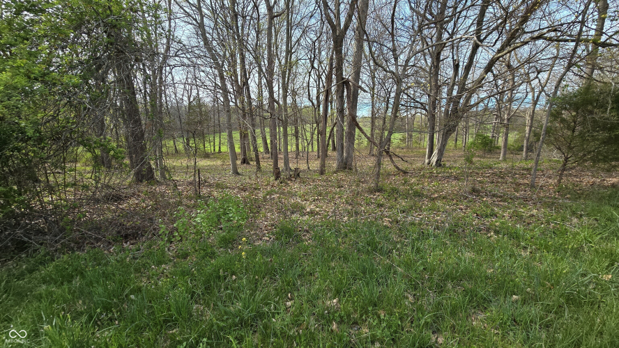 Listing Image 45
