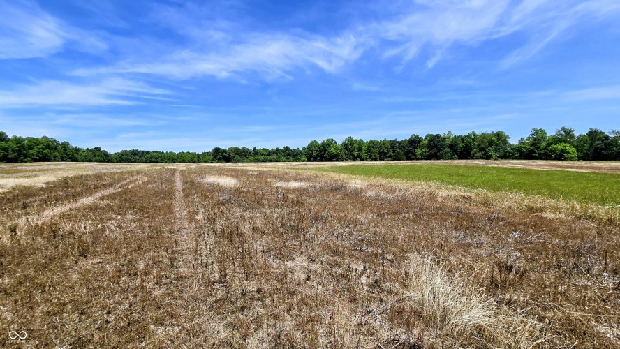 Listing Image 46