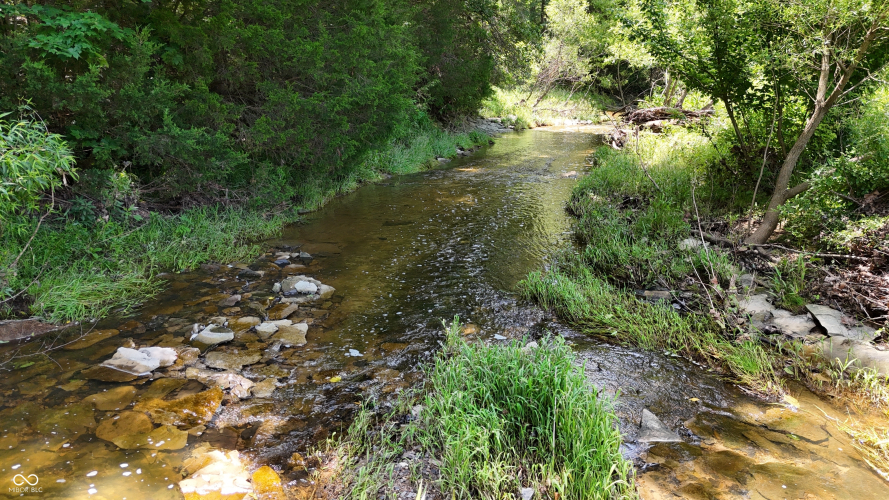 Listing Image 60