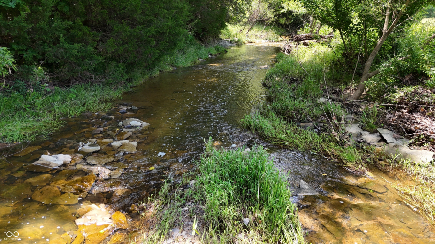 Listing Image 61