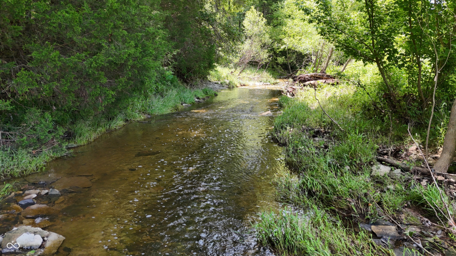 Listing Image 62