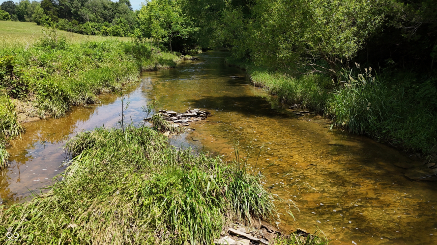 Listing Image 63