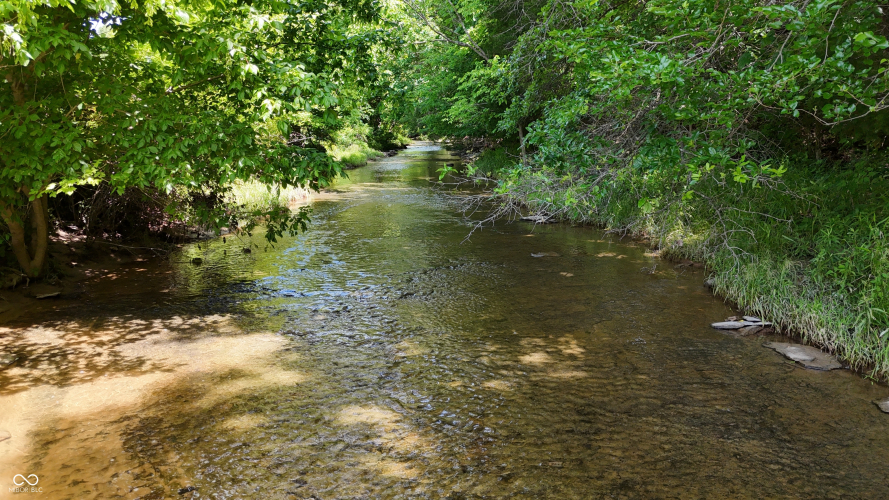 Listing Image 64