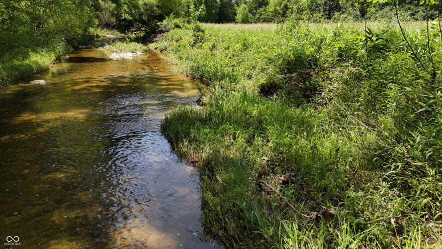 Listing Image 65