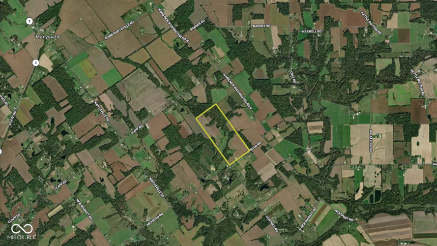 Listing Image 89