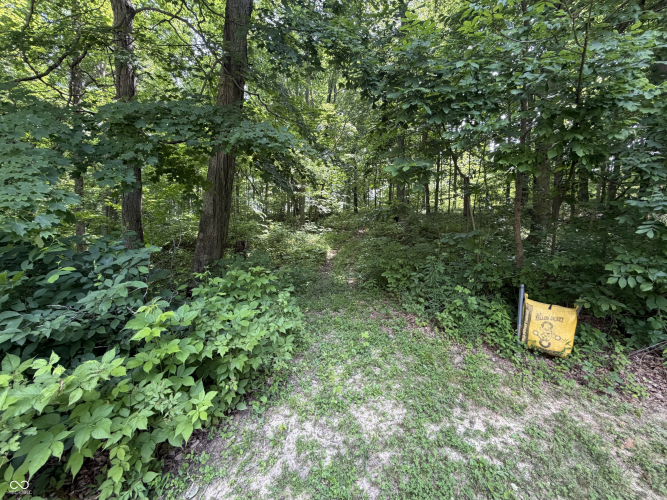 Listing Image 36