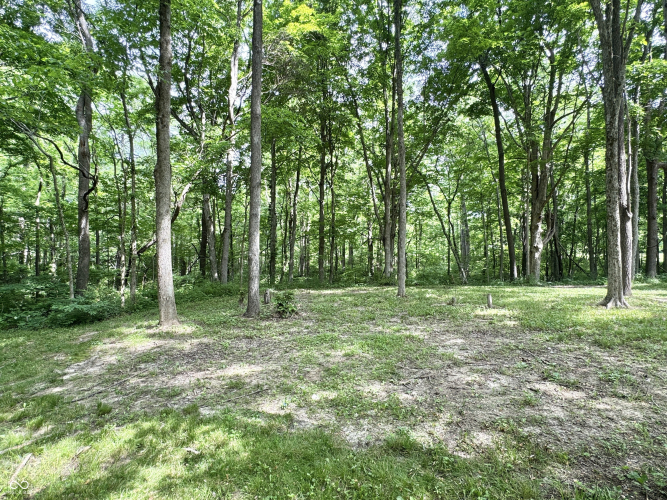 Listing Image 13