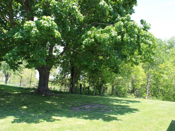 Listing Image 58