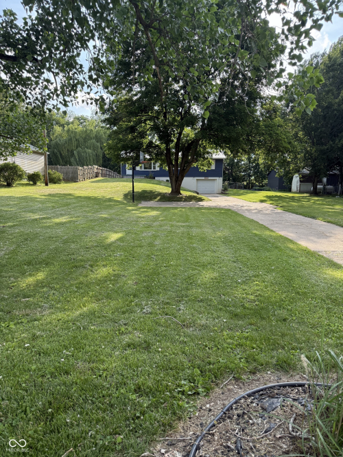 Listing Image 19