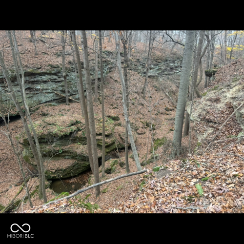 Listing Image 14