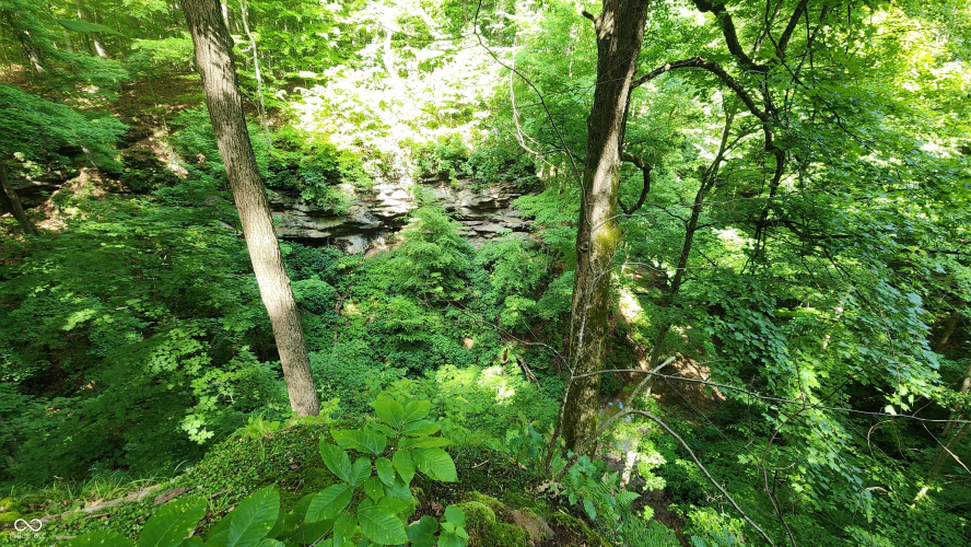 Listing Image 16