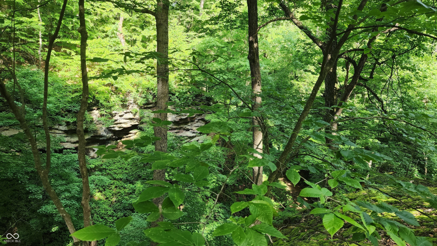 Listing Image 17
