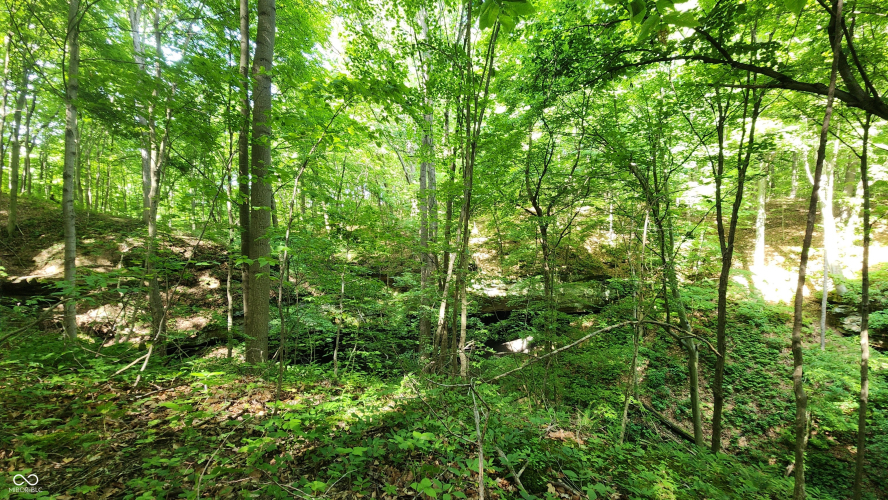 Listing Image 18
