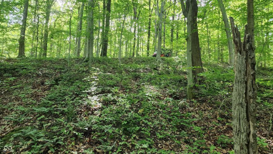 Listing Image 19