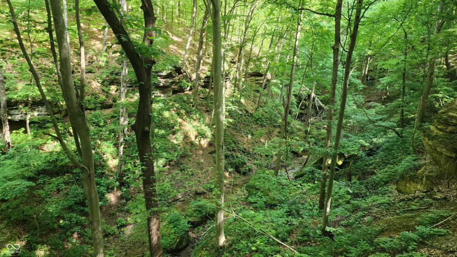 Listing Image 20
