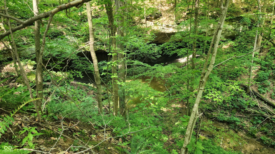 Listing Image 22