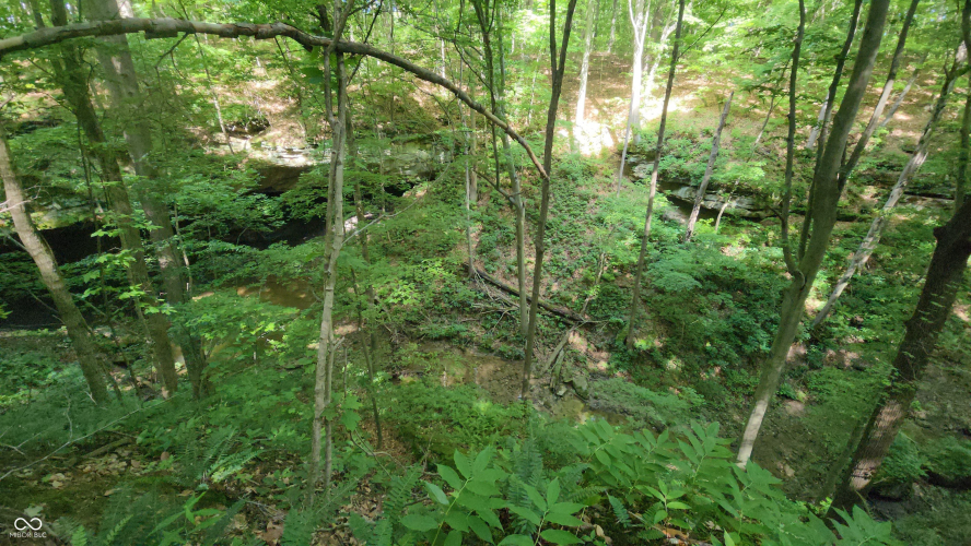 Listing Image 23