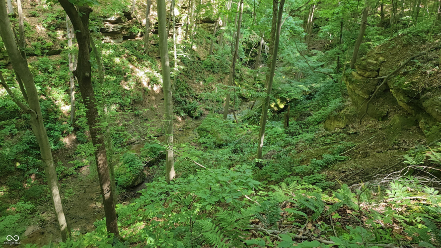 Listing Image 25