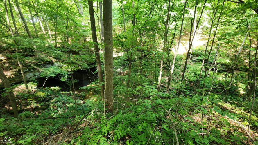 Listing Image 27