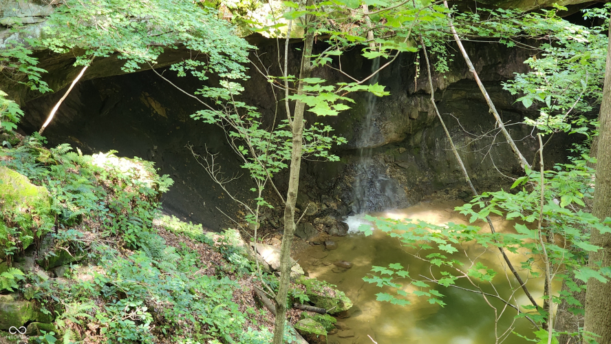Listing Image 28