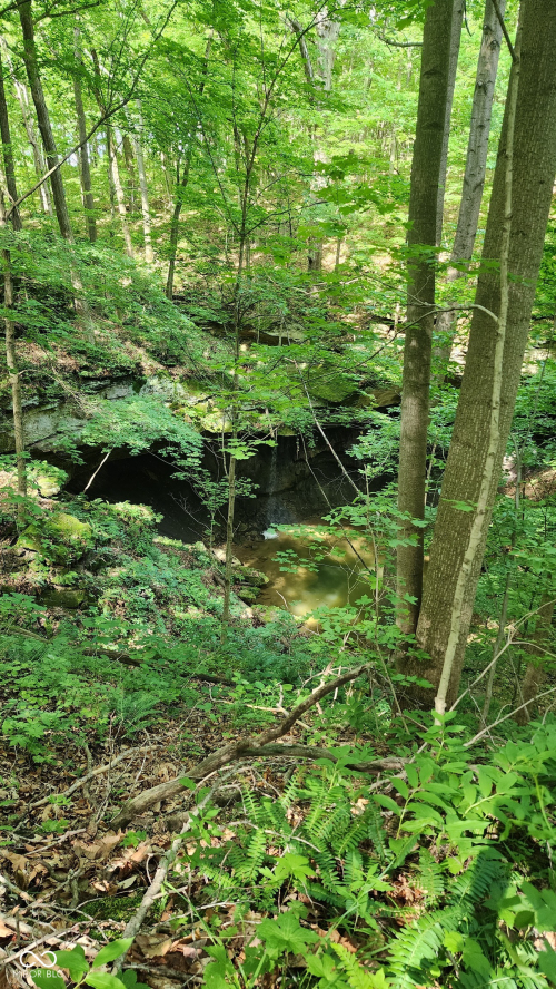 Listing Image 30