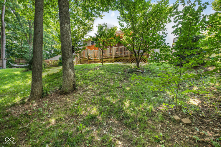 Listing Image 64