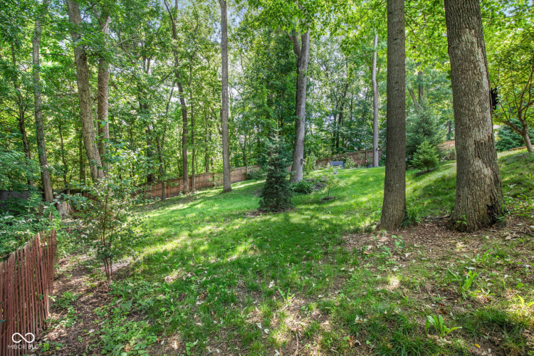 Listing Image 65